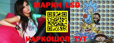 стафф Гатчина