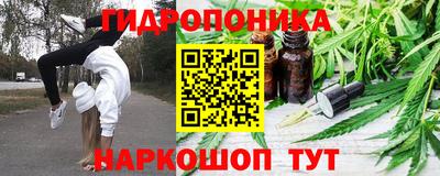 стафф Гатчина