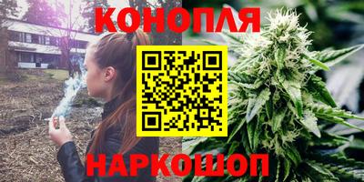 стафф Гатчина