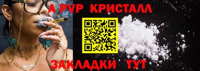 стафф Гатчина
