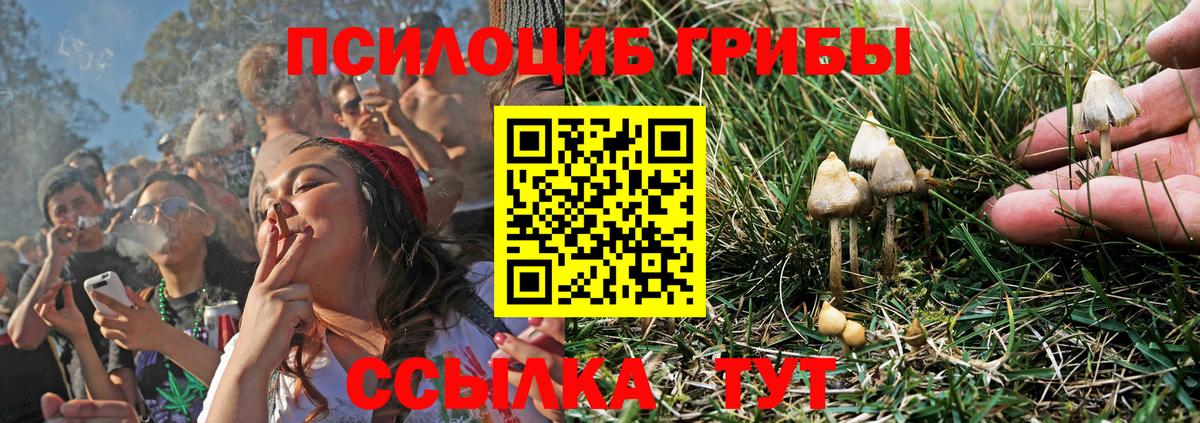 Псилоцибиновые грибы мицелий  Вход с VPN  Назарово 